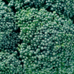 Brocoli Midori - Image 2