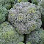 Brocoli Mixquic - Image 2