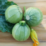 Calabaza Brice