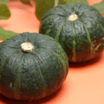 Calabaza Delica - Image 2