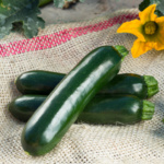Calabaza Ebano