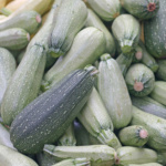 Calabaza Grey Zucchini - Image 2