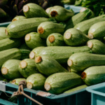 Calabaza Mexican Grey