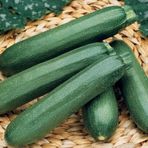 Calabaza Payroll