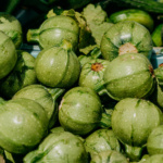 Calabaza Roundzinni - Image 3