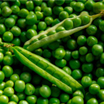 Chicharo Extra Plus Early Perfect - Image 2