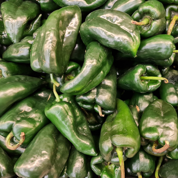 Chile Ancho San Luis