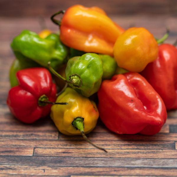 Chile Habanero Caloro