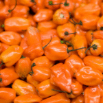 Chile Habanero Naranja - Image 2