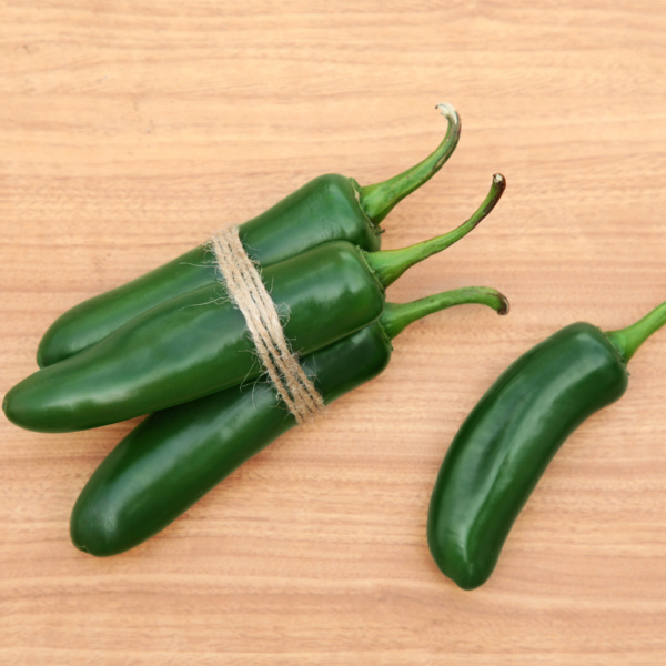 Chile Paquime