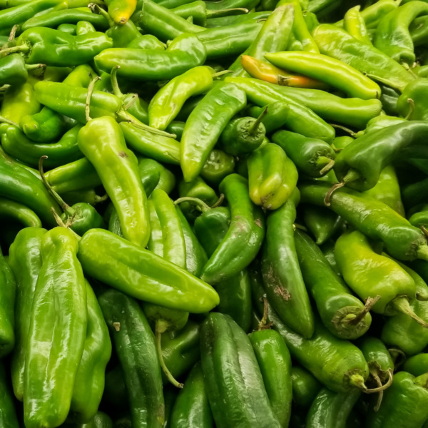 Chile Picante Anaheim