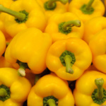 Chile Pimiento Stephania