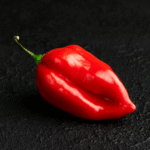 Chile Habanero Máximo - Image 2