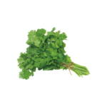 Cilantro Marruecos Entero - Image 2