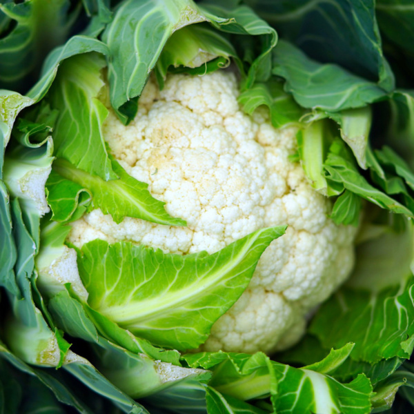 Coliflor Snowball