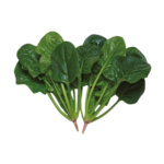 Espinaca Brunchy Tsp 536