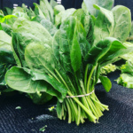 Espinaca Viroflay