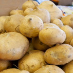 Jicama de Agua Dulce