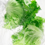 Lechuga Ice Agata - Image 2