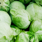 Lechuga Puebla MT - Image 2