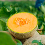 Melon Tarasco - Image 2