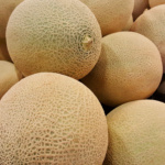 Melón Torreón