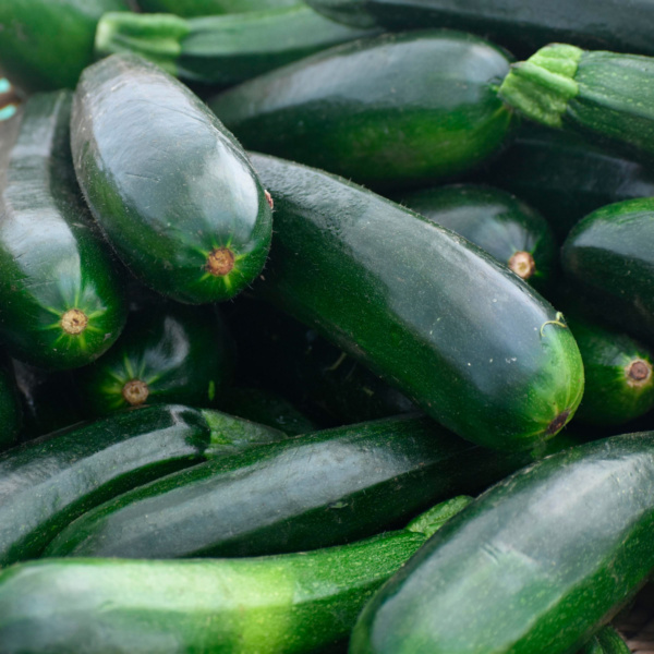 Pepino Dario