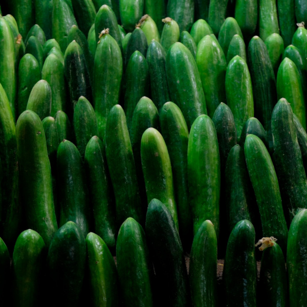 Pepino Ferrary