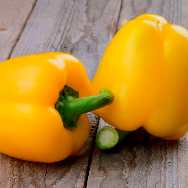 Pimiento Amarillo Stephani