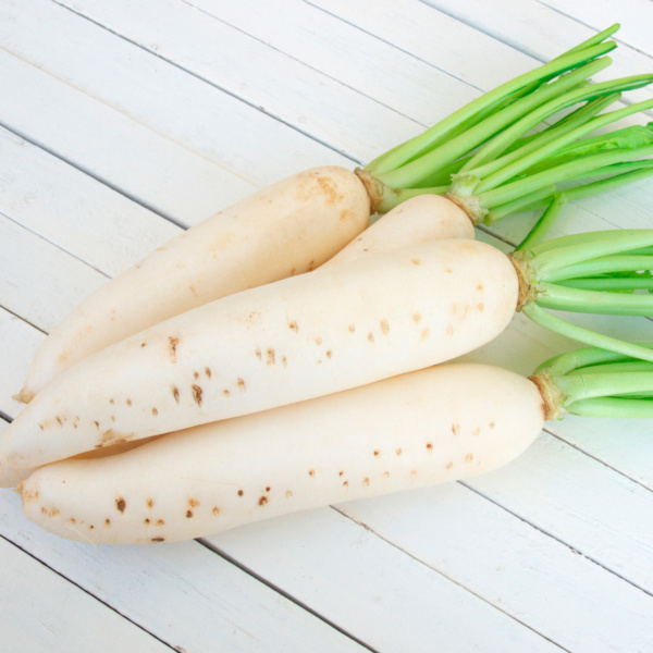 Rábano Daikon