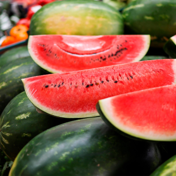 Sandia Perla
