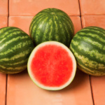 Sandia Sirius Mini