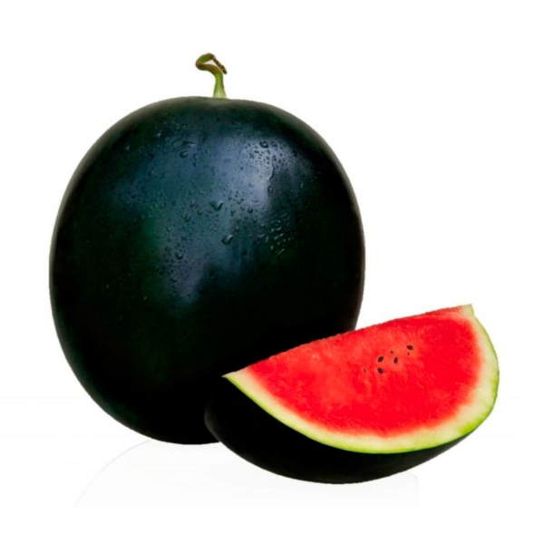 Sandia Sugar Baby
