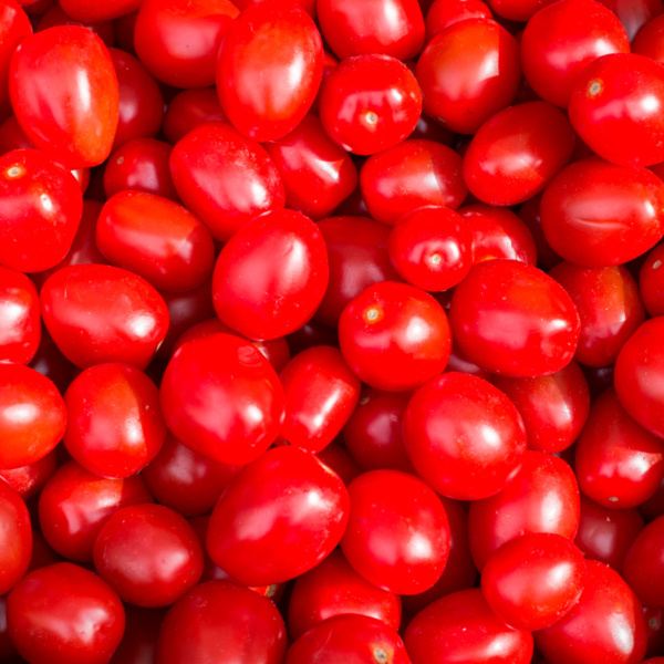 Tomate Determinado Mar Rojo
