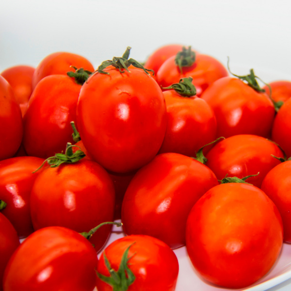 Tomate Equs f1
