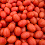 Tomate Indeterminado Altius