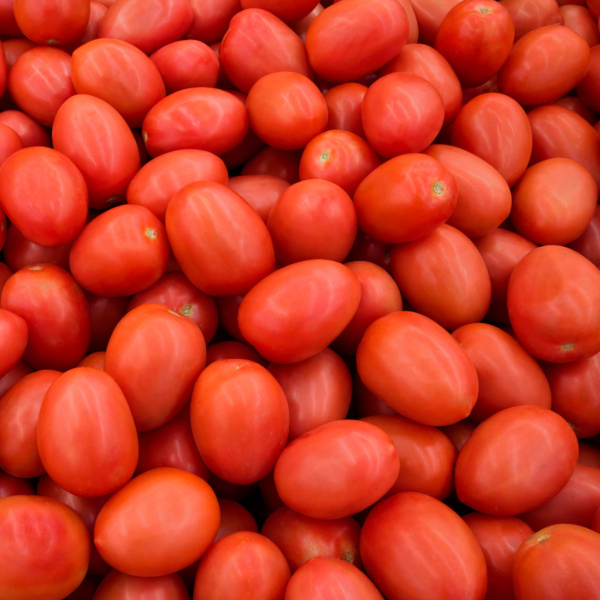 Tomate Indeterminado Altius
