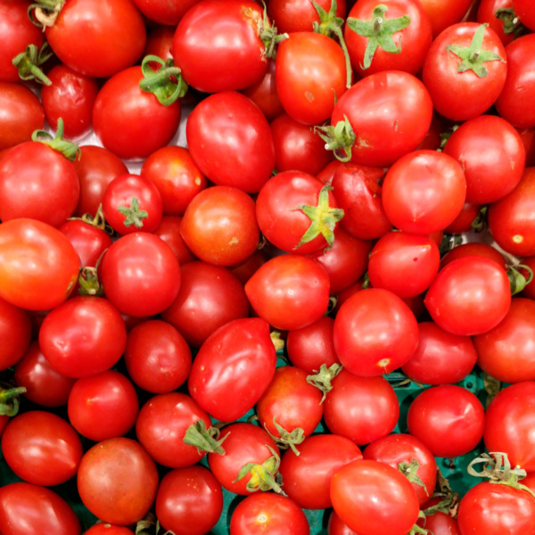 Tomate Indeterminado Vengador