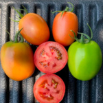 Tomate Rutilus - Image 2