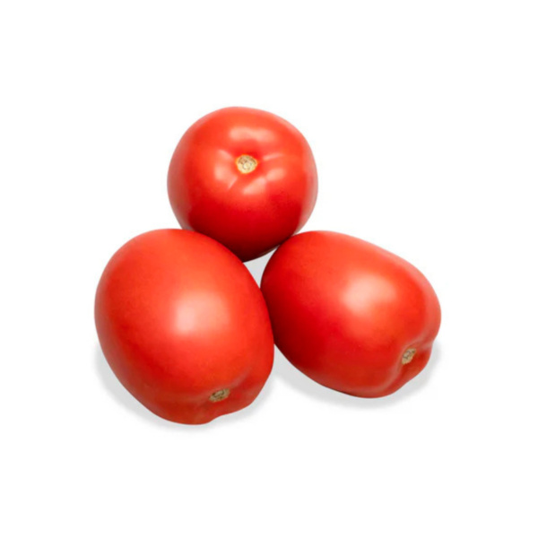 Tomate Rutilus