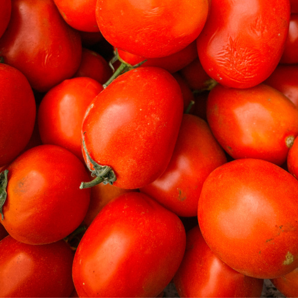 Tomate El Arrojado