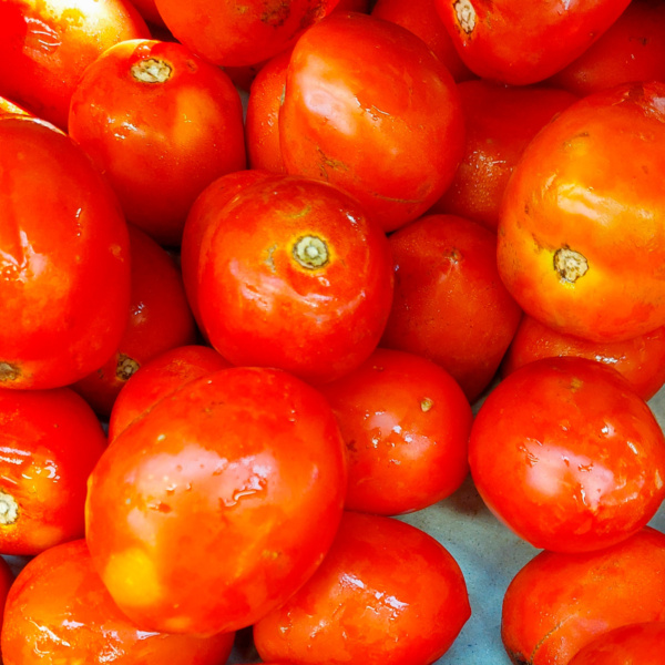 Tomate El Artista