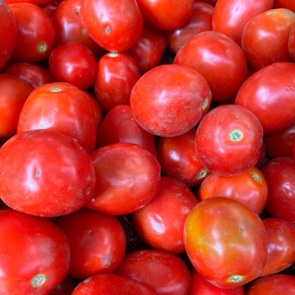 Tomate el Casqueño