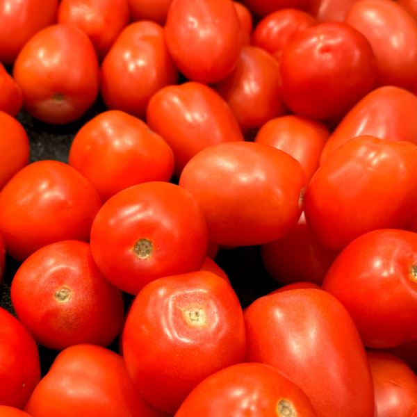 Tomate el Centauro
