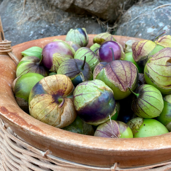 Tomatillo Cascara Morada