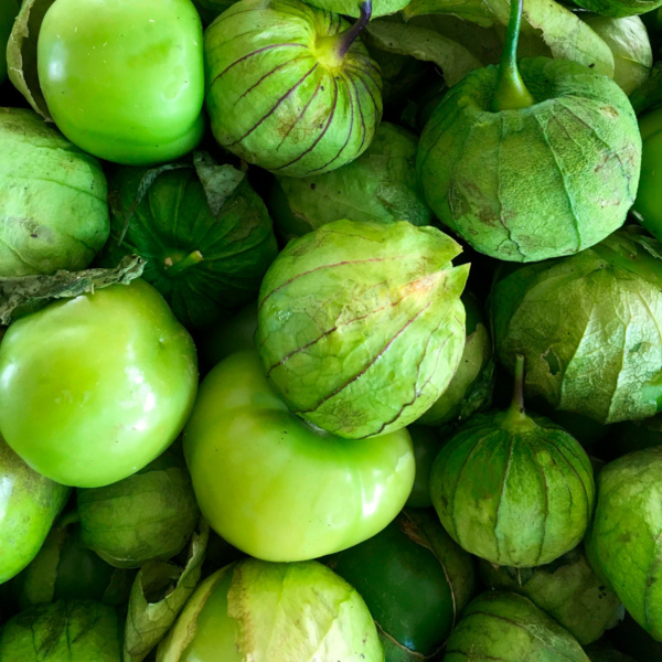 Tomatillo Verde Rendidora