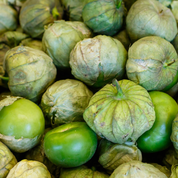Tomatillo Premier