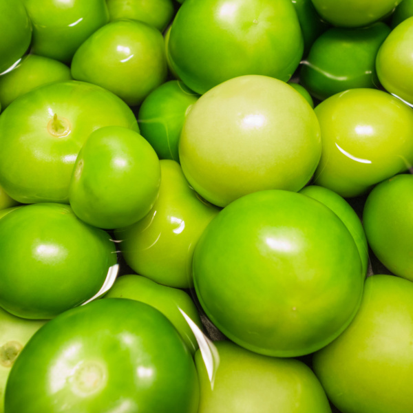 Tomatillo Querétaro