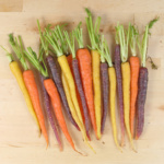 Zanahoria Rainbow Mix - Image 5
